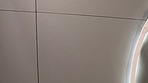 Migbelis Castellanos