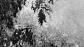 El mapa permaneció ocultó durante décadas en los Archivos Nacionales de los Países Bajos