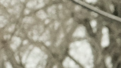 Niña de 15 años que desapareció misteriosamente fue hallada muerta en su escuela secundaria de Michigan