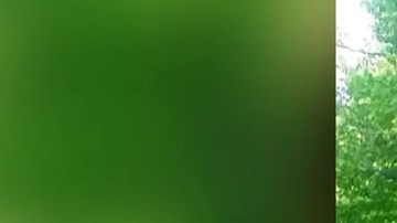 Oficiales de Virginia Occidental encuentran restos humanos a dos horas de donde se vio por última vez a una mujer desaparecida