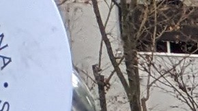 Keneth Quiroz con la banda de música La Primavera de Panamá. (Jacqueline García/La Opinión)