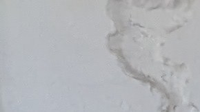 Veterinarios y estudiantes donaron su tiempo el domingo para la clínica gratuita de mascotas. (Jacqueline García/La Opinión)