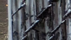 Manuel dentro de su vivienda provisional. (Jacqueline García/La Opinión)