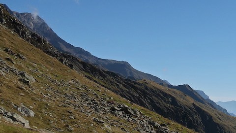 Pasear por la naturaleza puede reducir sentimientos negativos