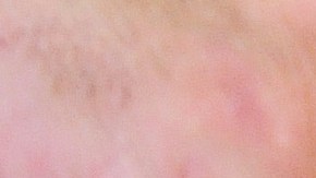 Peluqueros donan pelo humano para "recortar" la contaminación en el agua