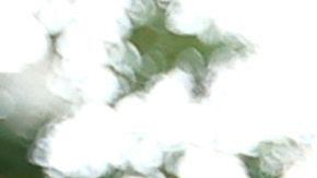 Policía de Los Ángeles allanó la casa de la familia de Billie Eilish en Los Ángeles y detuvo a un presunto ladrón