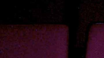 Polo Polo falleció a los 78 años después de haber arrastrar problemas de razonamiento y pérdida de memoria