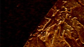 Conoce el Horóscopo Chino para tu signo