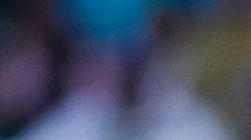 Pumas recibirá al León en otra jornada del Torneo Clausura.