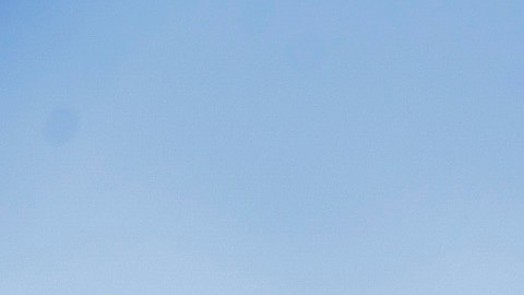 Sombrero de las Águilas del América.