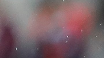 Toluca vs León se verán las caras en el Nemesio Díez.