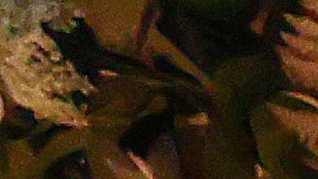 Tribu indígena dona $100,000 dólares al fondo de víctimas por el tiroteo en Monterey Park