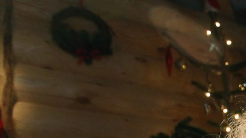 Niña pide a la policía que analice una galleta en busca de pruebas de ADN de Santa, ya le dieron los resultado