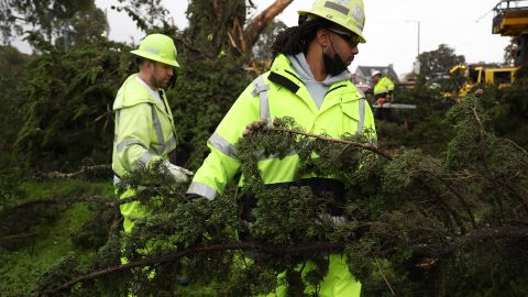 VIDEO: Equipos de bomberos rescatan a 2 perros que naufragaban durante la inundación del ciclón bomba de California