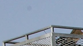 VIDEO Un hombre ataca un automóvil con un tubo en un incidente de ira en la carretera en la autopista 2 en Glendale