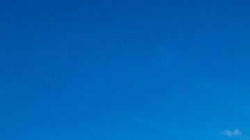 Veterano surfista "Mad Dog" Freire muere en una ola gigante