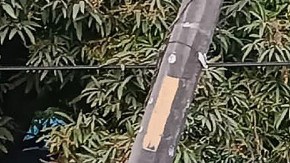 Violencia en Veracruz