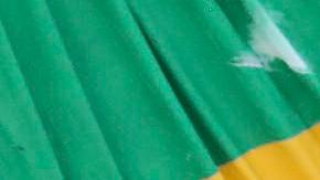 Brasil se despidió de Pelé en una multitudinaria capilla ardiente.