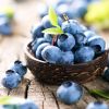 Según los nutricionistas, los arándanos son las mejores frutas para quemar grasa estomacal
