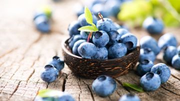 Los arándanos son la mejor fruta para quemar grasa abdominal, según un nutricionista