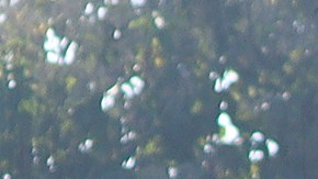 Miles de inmigrantes han quedado en México tras los cambios migratorios.