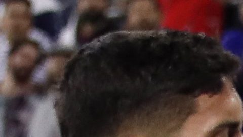 Alejandro Zendejas (i) pelea un balón con Nikola Petkovifá (d).