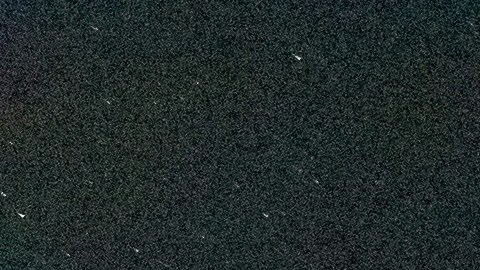 Constelaciones y el horóscopo