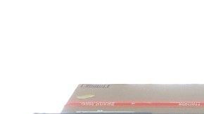 Imagen de un trabajador de Amazon que carga unas cajas a una camioneta de reparto.