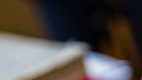 Los colores verde manzana y azul celeste predominarán a lo largo del Año del Conejo de Agua