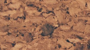 el karma de los signos en 2023