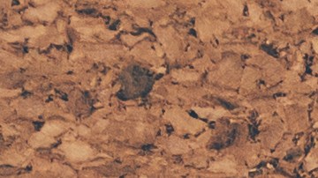 el karma de los signos en 2023