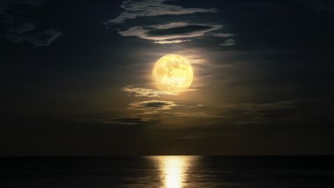 Luna llena efectos signos