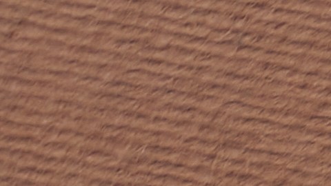 Año Nuevo Chino del Conejo