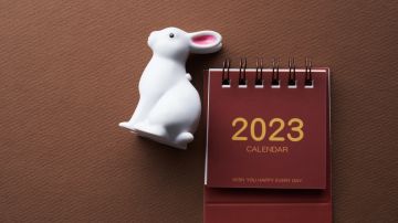 Año Nuevo Chino del Conejo