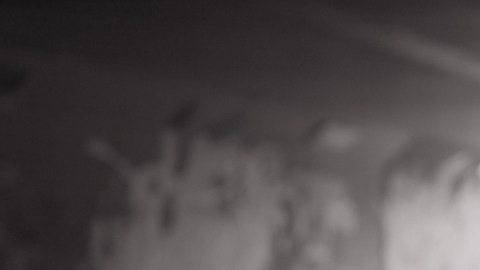 Bloguera de salud mental británica falleció luego de tomar un veneno que ordenó desde Rusia