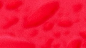 Así ha sido el camino de aceptación de electrificación para Ferrari