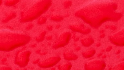 Así ha sido el camino de aceptación de electrificación para Ferrari