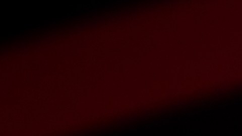 Las acciones de Elon Musk en la red social repercuten en Tesla