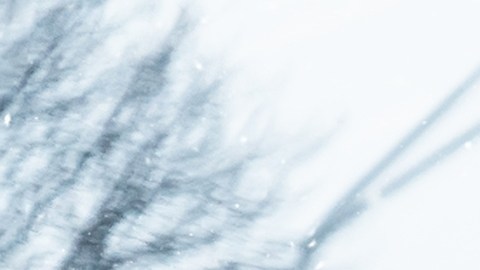 Aplica estos consejos para conducir de forma segura en invierno