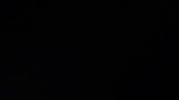 Plomo en la gasolina: más de 150 millones de diagnósticos mentales estarían vinculados