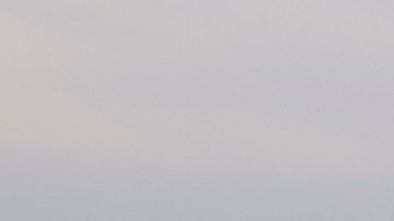 Imagen de un avión de Southwest de color azul con vivos amarillos y rojos, mientras va aterrizando.