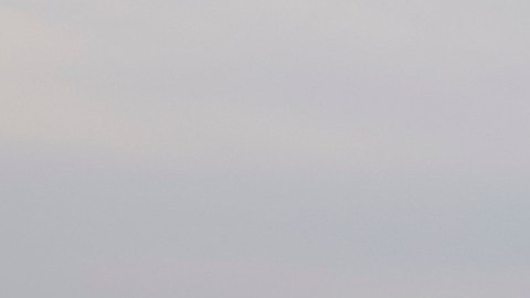 Imagen de un avión de Southwest de color azul con vivos amarillos y rojos, mientras va aterrizando.