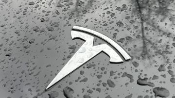 Imagen del logotipo de la marca de autos eléctricos Tesla en color plateado.