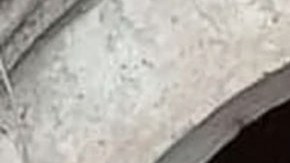 Ana Bárbara estrena canción | Mezcalent.