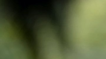 Gabriel Soto posa sin ropa en la playa | Mezcalent.