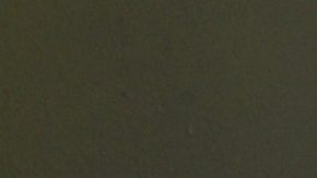 Ninel Conde podría tener un tercer hijo con un vientre de alquiler.