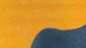 Alex Speitzer es criticado | Mezcalent.