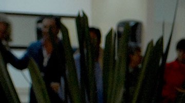 Andrea Legarreta y Erik Rubín se separan | Mezcalent.
