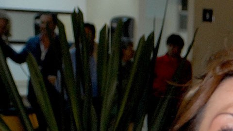 Andrea Legarreta y Erik Rubín se separan | Mezcalent.