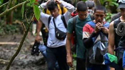 4 factores para entender por qué los ecuatorianos son ahora los sudamericanos que más cruzan la selva del Darién camino a EE.UU.